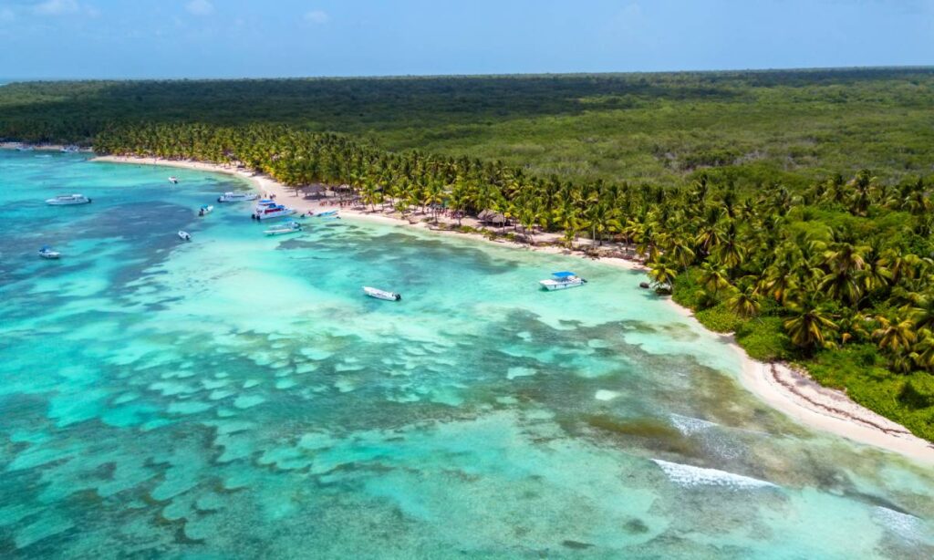 Vista aérea de la playa de Isla Saona con arena blanca y mar turquesa.