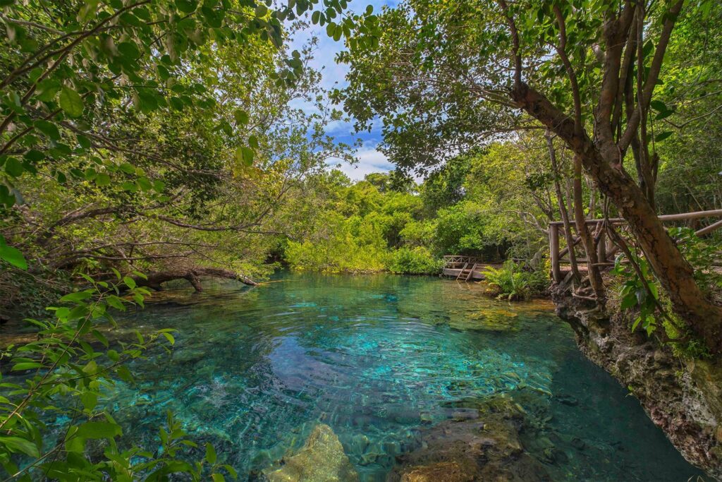 Vista de una laguna cristalina dentro de la Reserva Ecológica Ojos Indígenas.