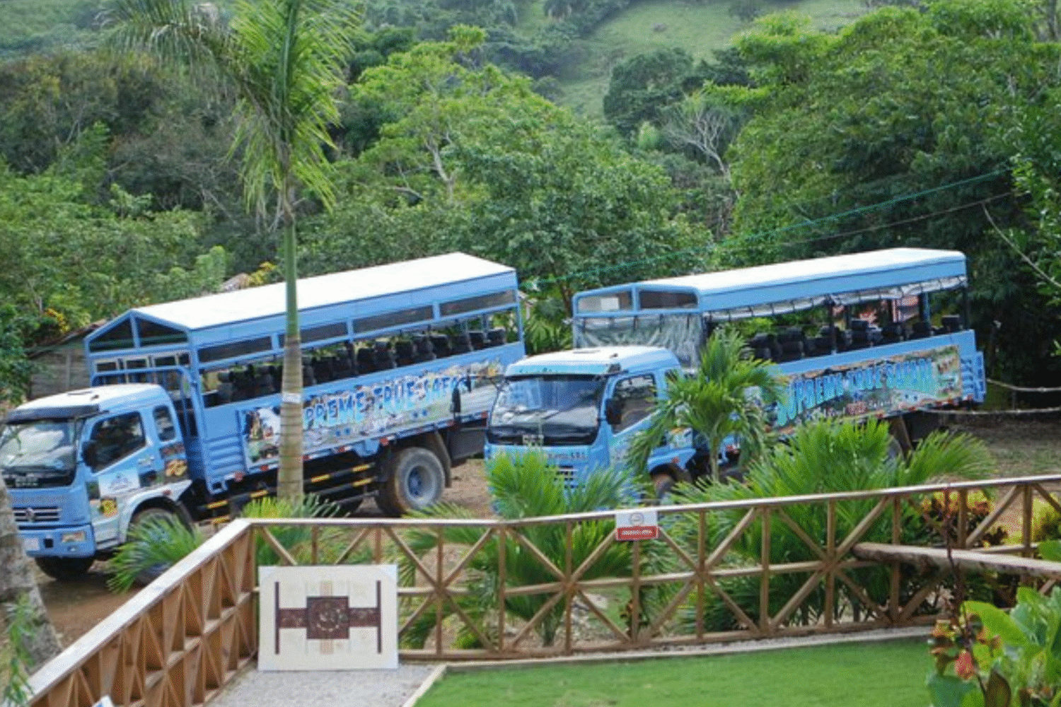Explore Dominican traditions, cuisine, and landscapes with Emilsa’s Supreme True Safari. Book your cultural adventure today!