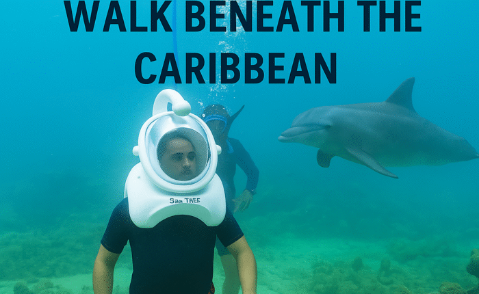 Seaquarium Underwater Adventure – Walk Beneath the Caribbean