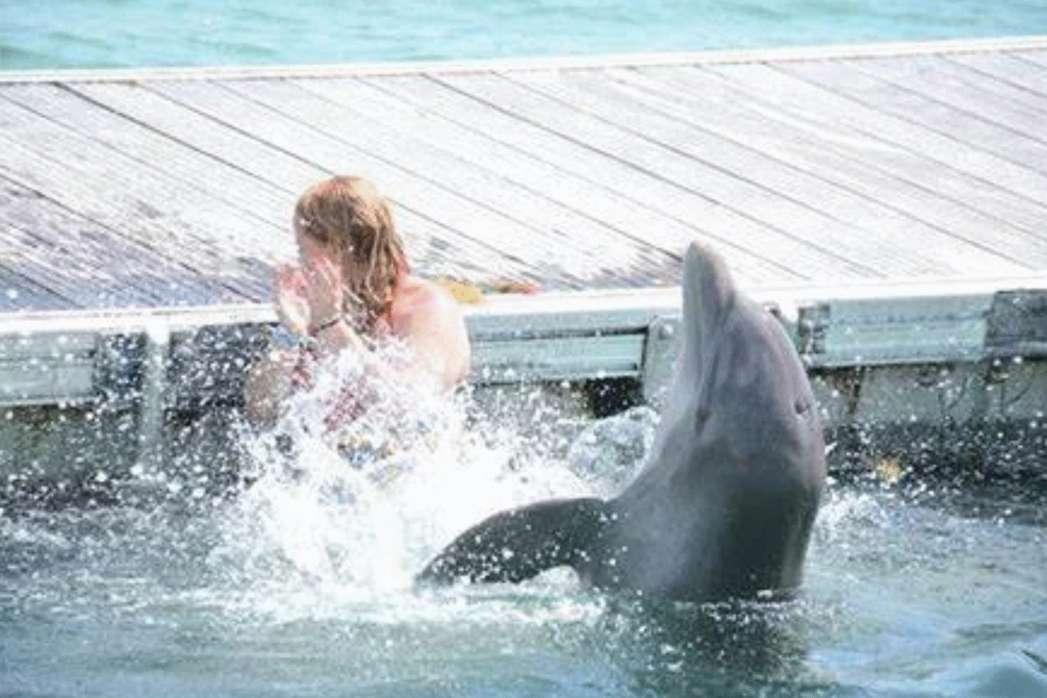 Dolphin Island Park