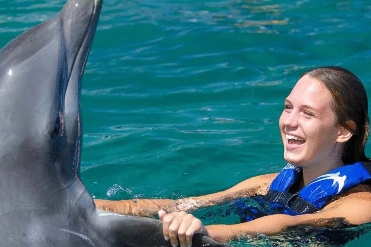 Guest interacts with dolphin during a guided swim in Punta Cana