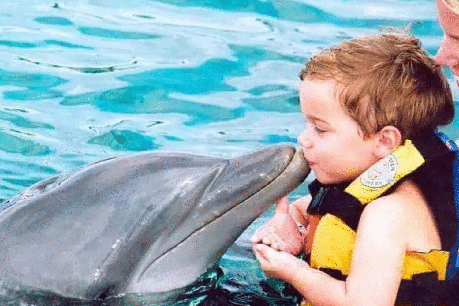 Guest interacts with dolphin during a guided swim in Punta Cana