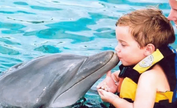 Guest interacts with dolphin during a guided swim in Punta Cana