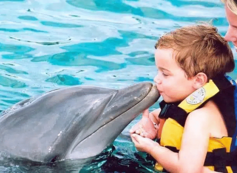 Guest interacts with dolphin during a guided swim in Punta Cana