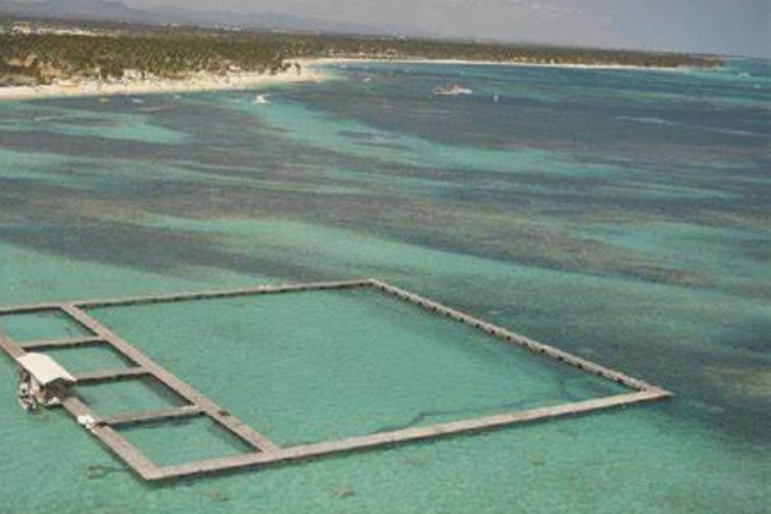Discover the best of Dolphin Island