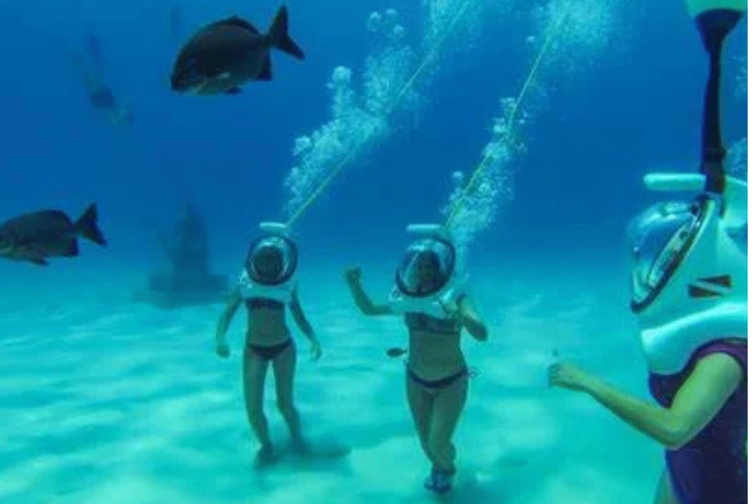 Seaquarium Underwater Adventure – Walk Beneath the Caribbean