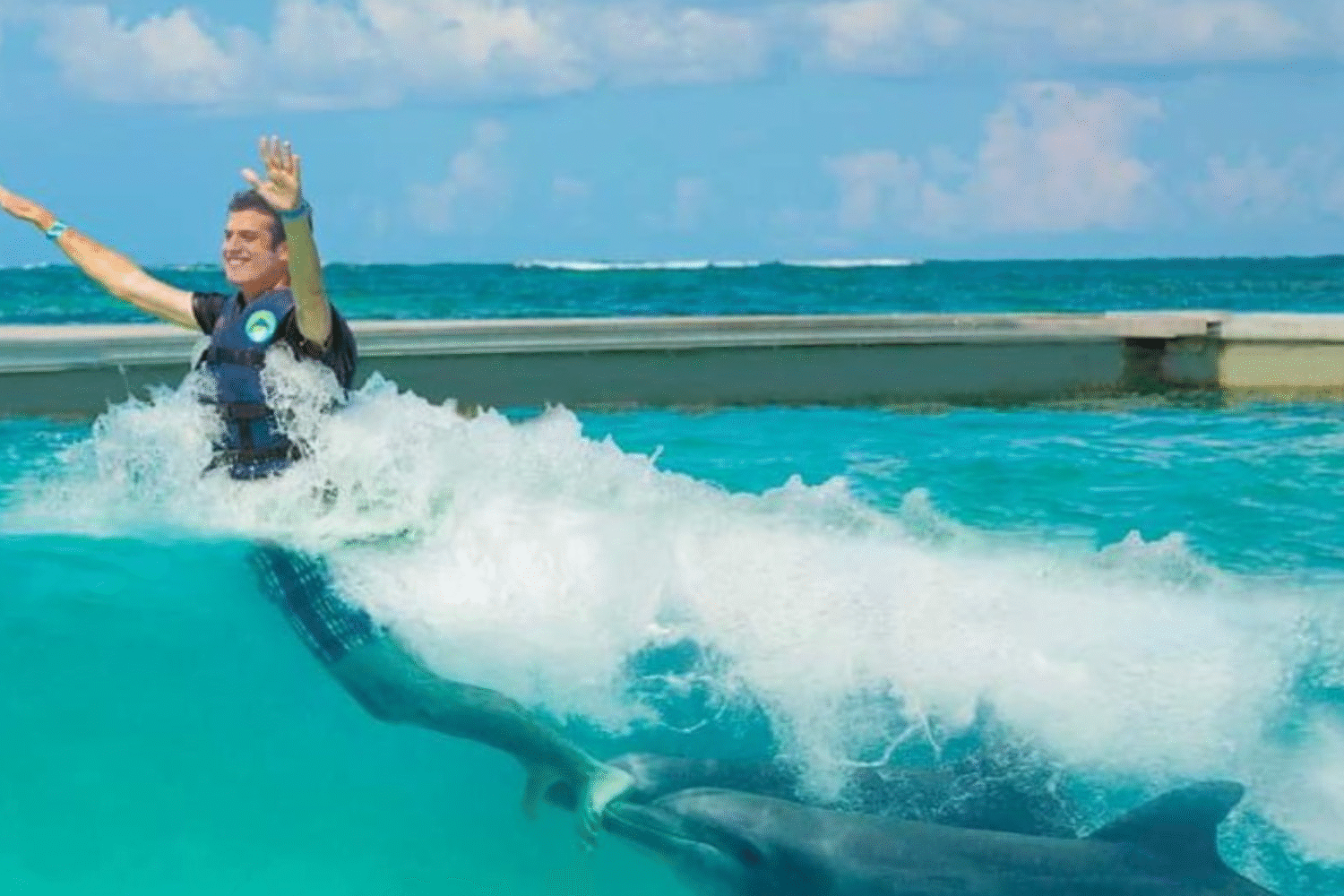 dolphin royal swim punta cana.