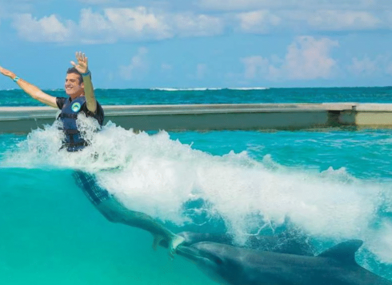 dolphin royal swim punta cana.