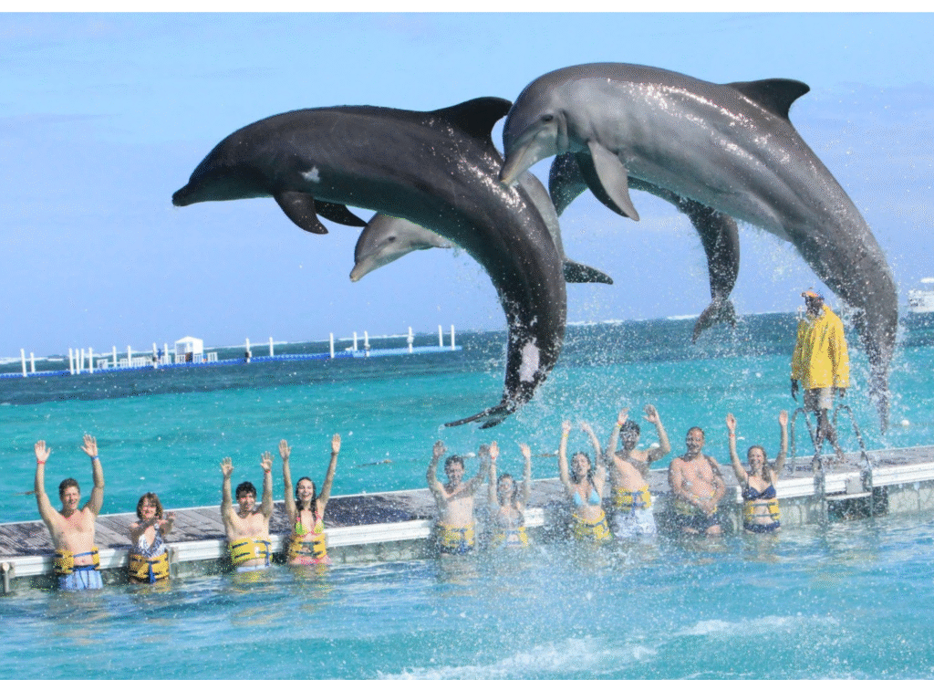 Dolphin Island Park