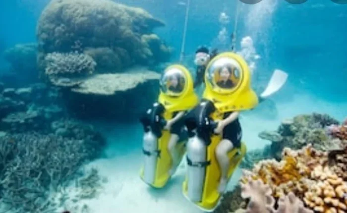 Scubadoo Ocean Adventure in Punta Cana Zoom beneath the waves without a snorkel! Explore marine life on a Scubadoo scooter, snorkel at El Niño reef, and cruise on a glass-bottom boat.